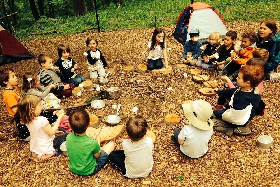 School Camp: A Journey Beyond the Classroom